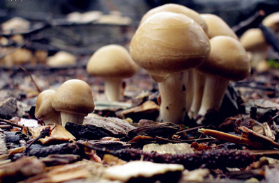 http=//www.sdchhjgc.com/img/ad/original/2014/05/22/ln5/nu5/52n/T9sE3s9E11400723570754.jpg http=//www.sdchhjgc.com/img/ad/original/2014/05/22/ln5/nu5/52n/T9sE3s9E11400723570754.jpg