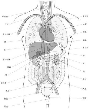 http=//www.sdchhjgc.com/img/ad/original/2014/02/12/u65/un2/2l6/lluL4nl4-1392192128502.jpg http=//www.sdchhjgc.com/img/ad/original/2014/02/12/u65/un2/2l6/lluL4nl4-1392192128502.jpg