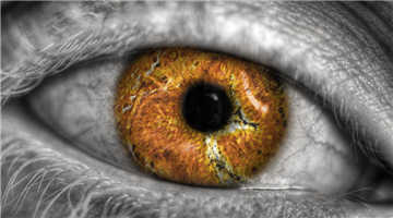 http=//www.sdchhjgc.com/img/ad/original/2014/02/09/555/l56/528/2ADl0ToVn1391918673495.jpg http=//www.sdchhjgc.com/img/ad/original/2014/02/09/555/l56/528/2ADl0ToVn1391918673495.jpg